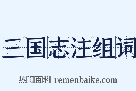 三国志注组词是什么意思的图片